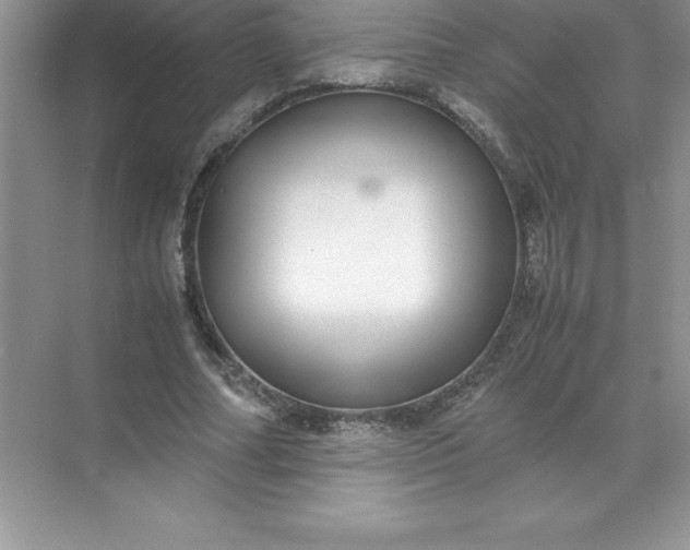 X0000071950682200607212227