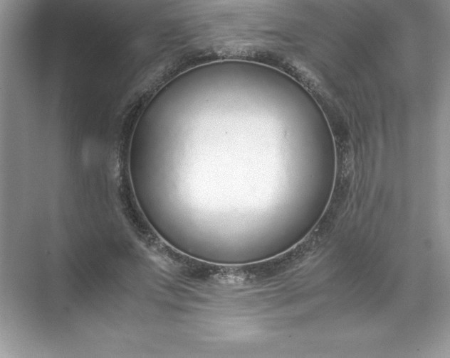 X0000071950687200607212227