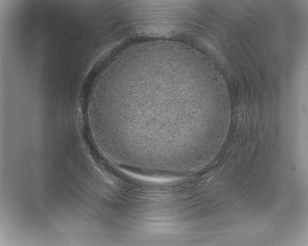 X0000071950688200607212227