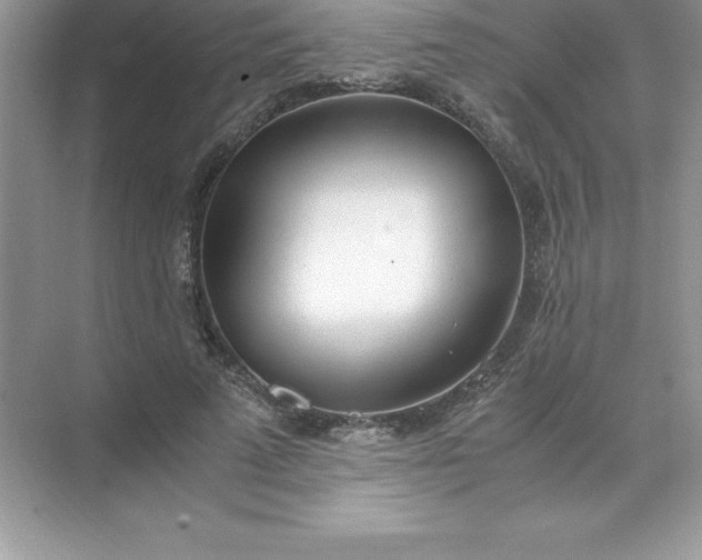 X0000071950689200607212227