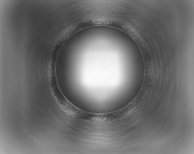 X0000071950690200607212227