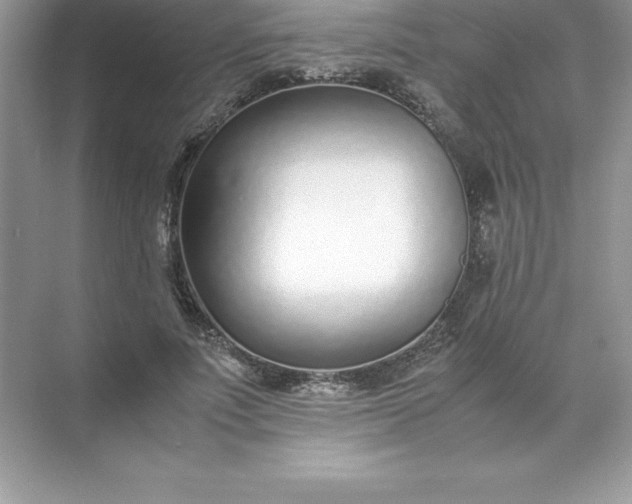 X0000071950691200607212227