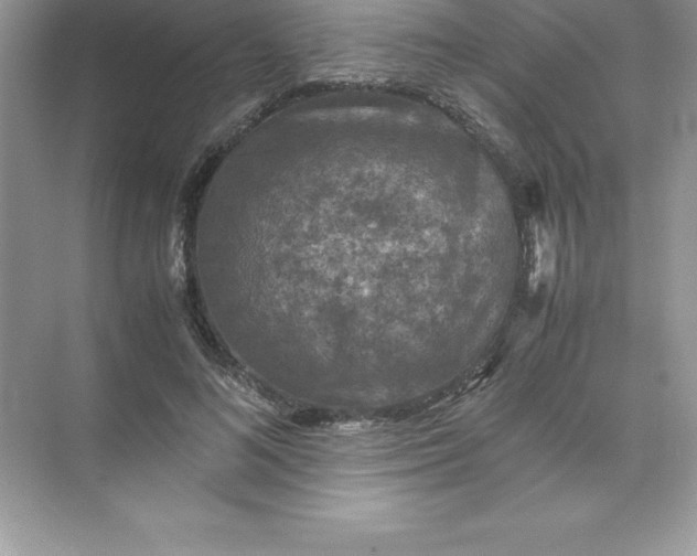 X0000071950692200607212227