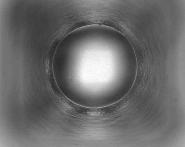 X0000071950693200607212227