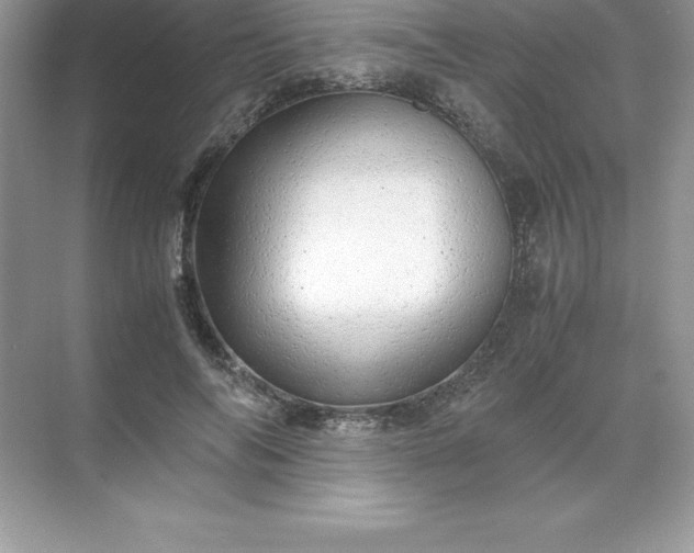 X0000071950694200607212227