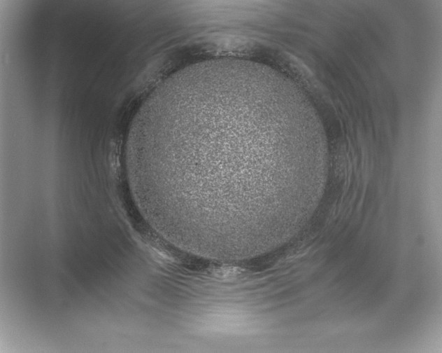 X0000071950695200607212227