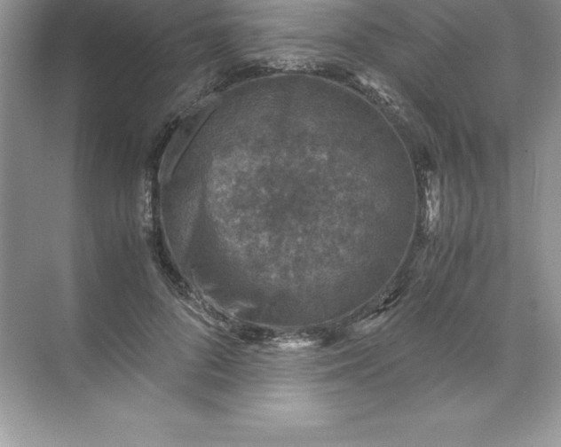 X0000071950696200607212227