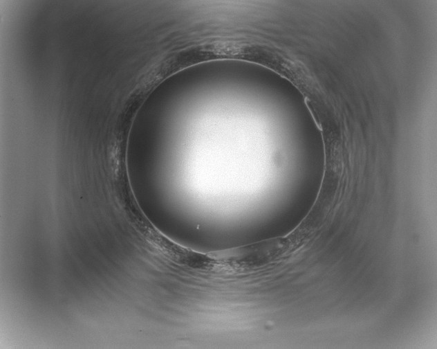 X0000071950697200607212227