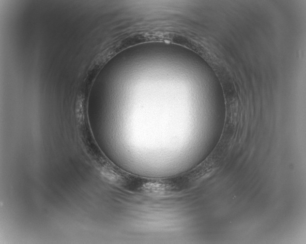 X0000071950699200607212227