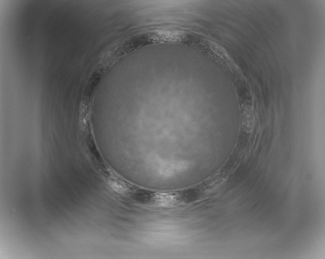 X0000071950701200607212227