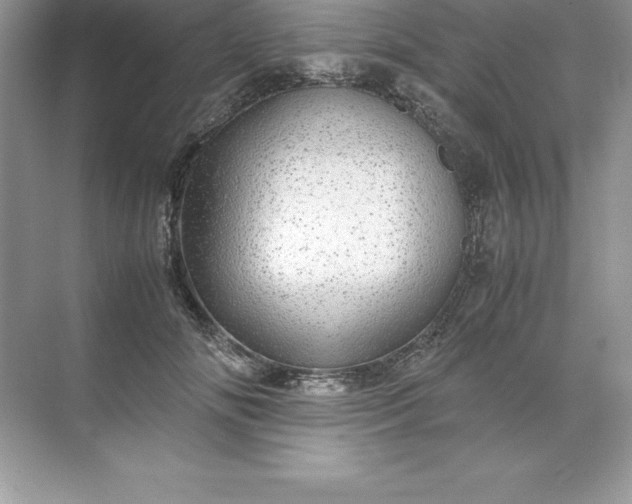 X0000071950702200607212227