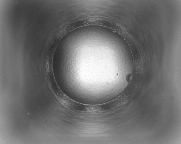 X0000071950703200607212227