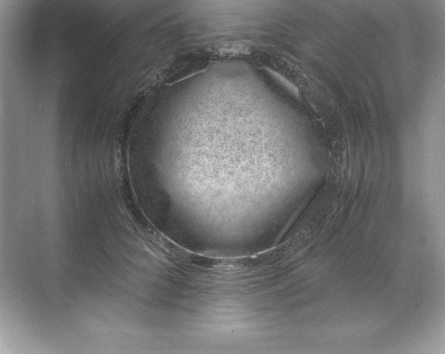 X0000071950704200607212227