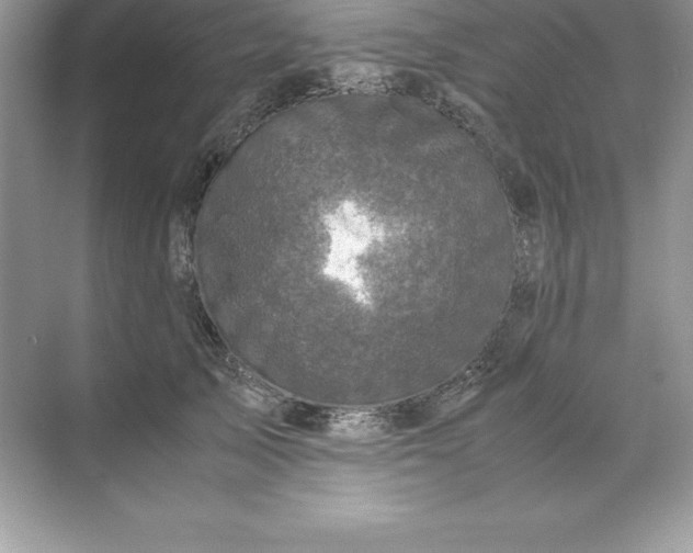 X0000071950705200607212227