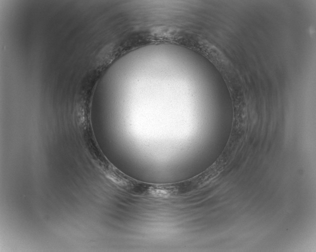 X0000071950706200607212227