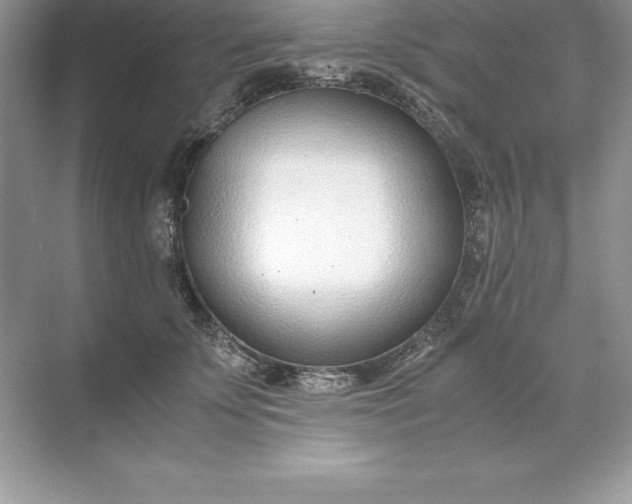 X0000071950707200607212226