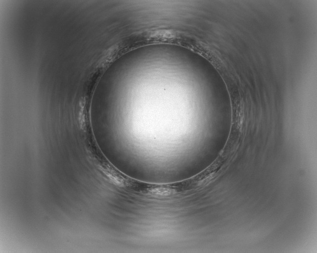 X0000071950708200607212226