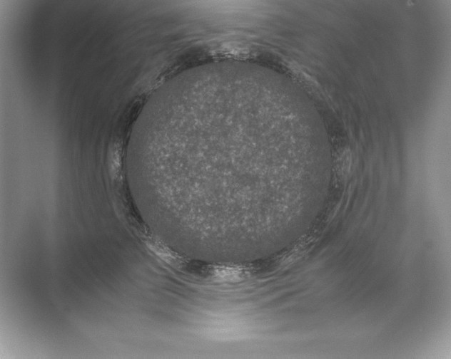 X0000071950709200607212226