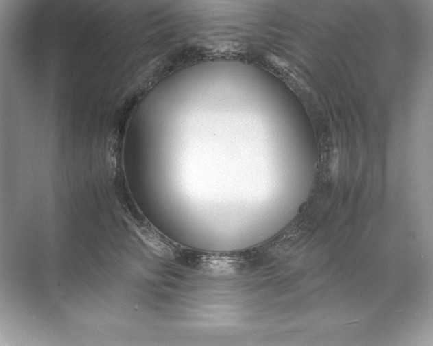 X0000071950710200607212226