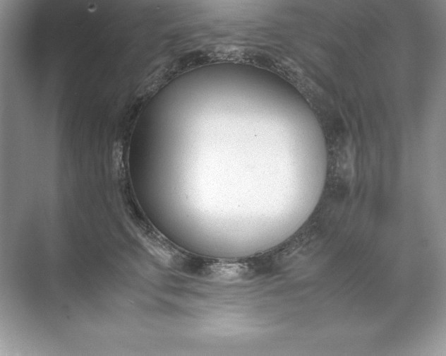 X0000071950711200607212226