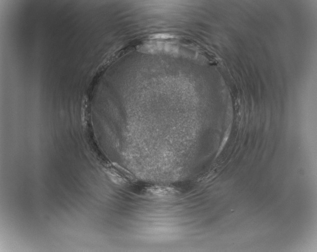 X0000071950712200607212226