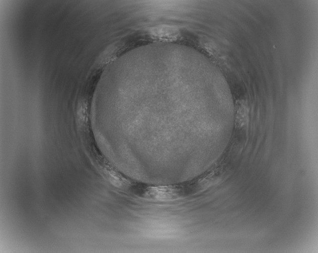 X0000071950713200607212226