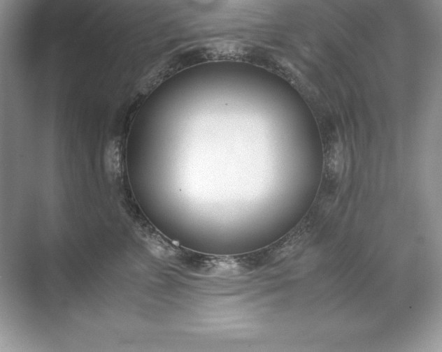 X0000071950715200607212226