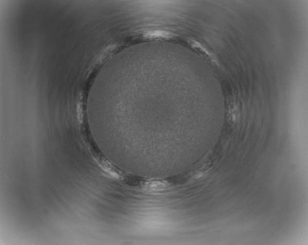 X0000071950716200607212226