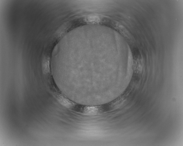 X0000071950717200607212226