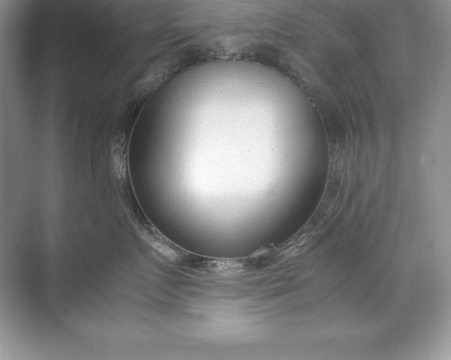 X0000071950719200607212226