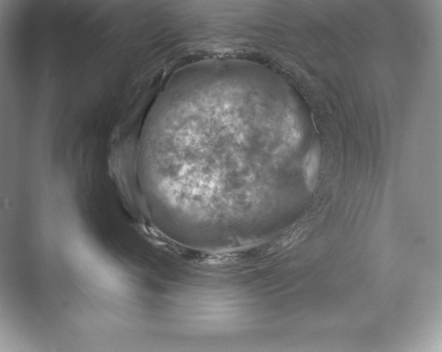 X0000071950720200607212226