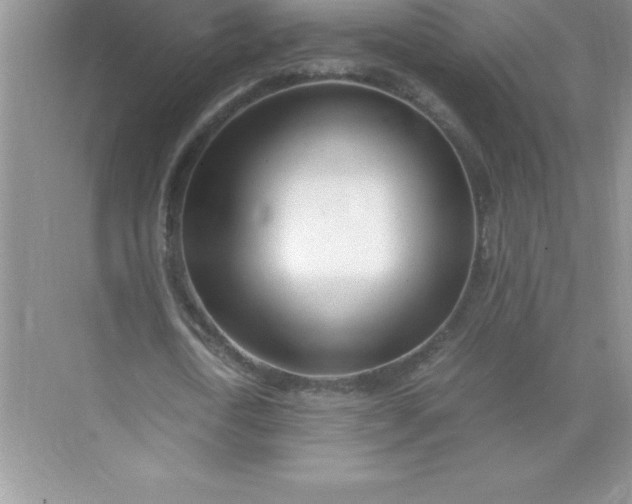 X0000071950722200607212225