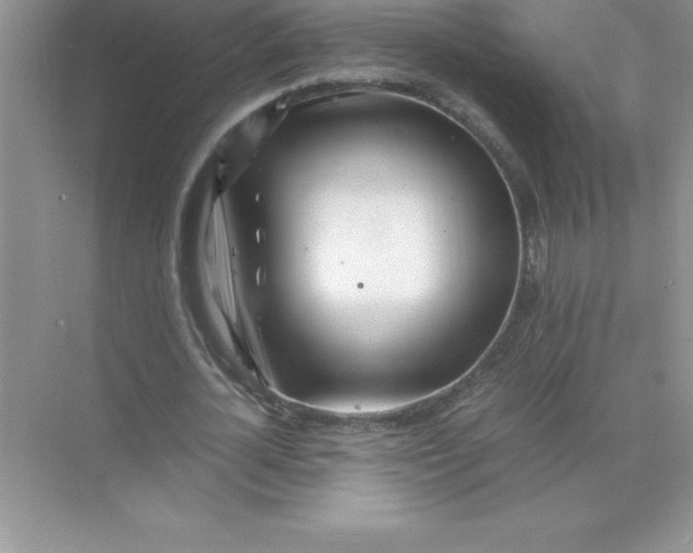 X0000071950724200607212226