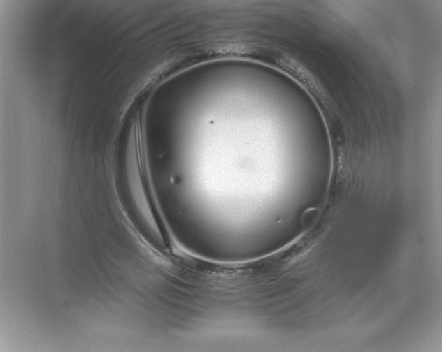 X0000071950725200607212226