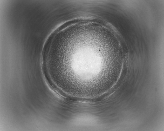 X0000071950726200607212226