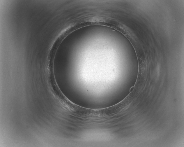 X0000071950727200607212226