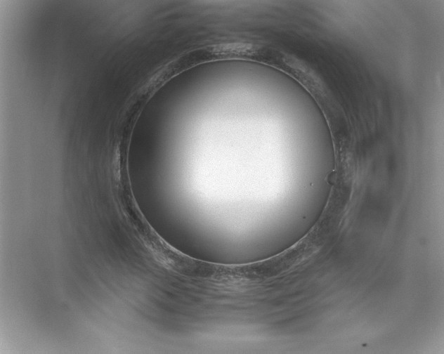 X0000071950729200607212226