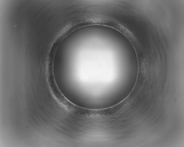 X0000071950730200607212226