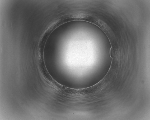 X0000071950731200607212226