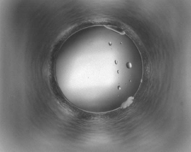 X0000071950732200607212226