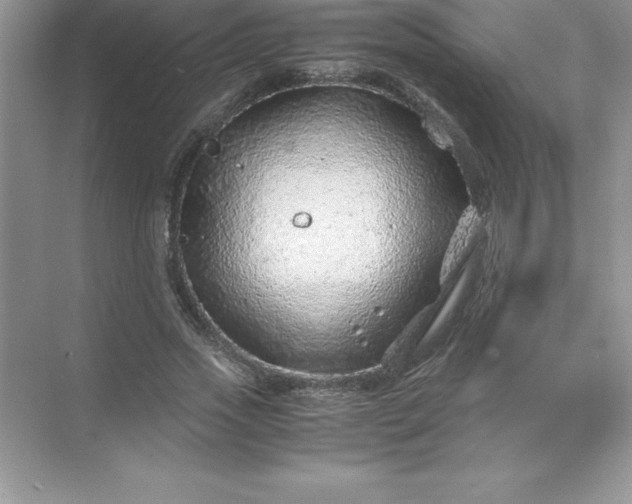 X0000071950733200607212226