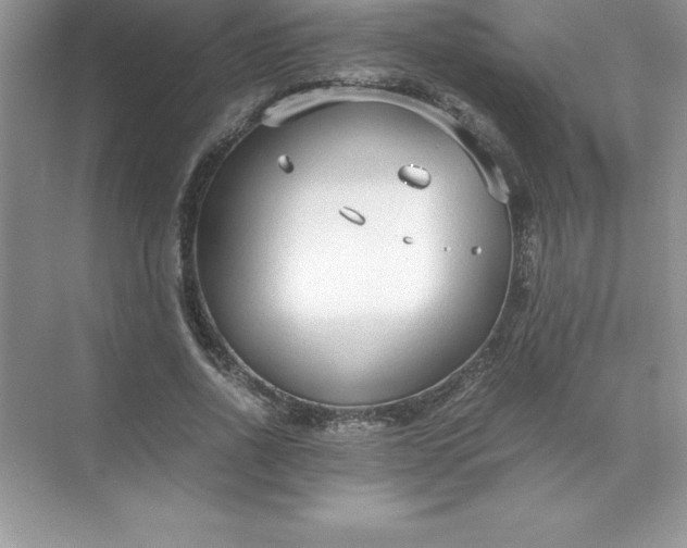 X0000071950734200607212226