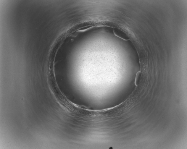 X0000071950736200607212226