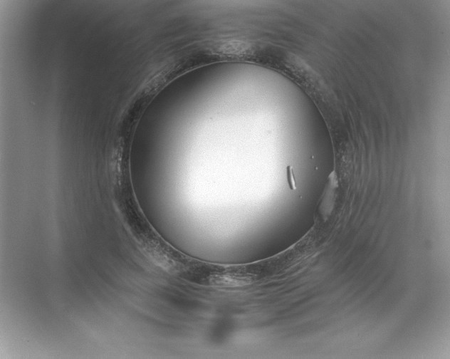 X0000071950739200607212226