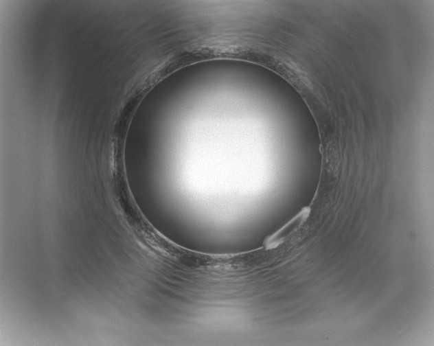 X0000071950740200607212226