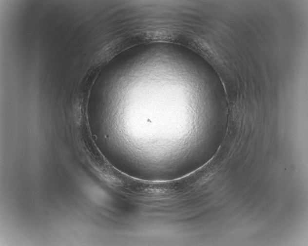 X0000071950741200607212226