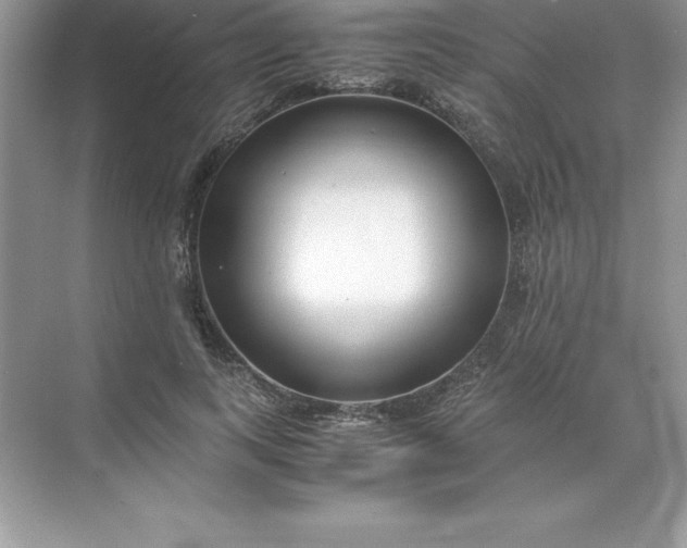 X0000071950743200607212226