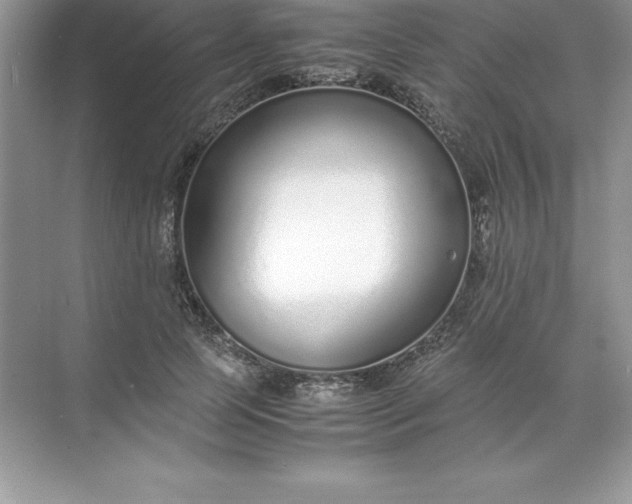 X0000071950745200607212226