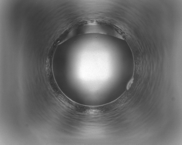 X0000071950748200607212226