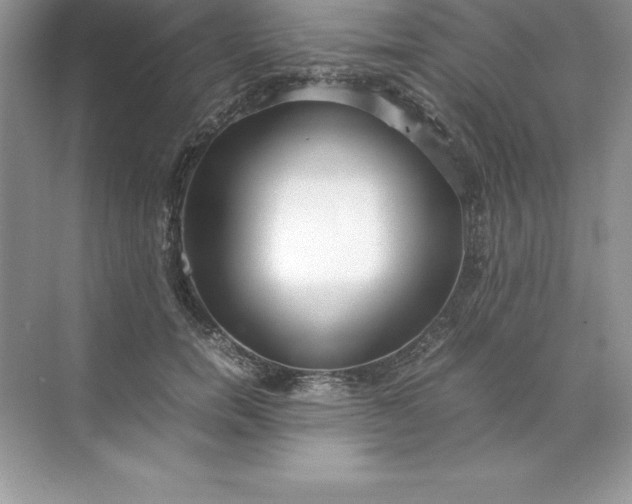 X0000071950750200607212226